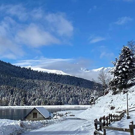 Gite Du Montagnol A Payolle Sainte-Marie-de-Campan Zewnętrze zdjęcie