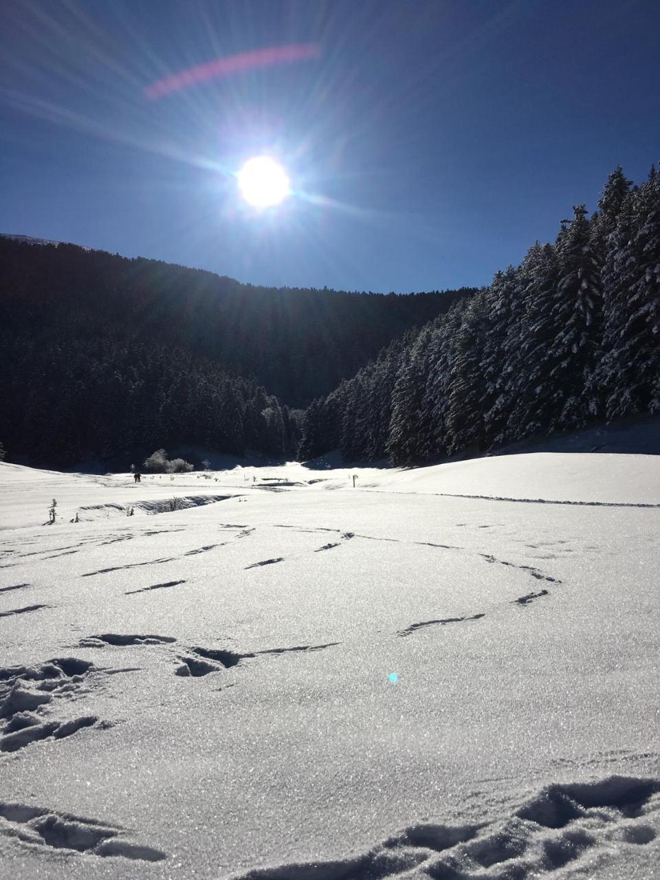 Gite Du Montagnol A Payolle Sainte-Marie-de-Campan Zewnętrze zdjęcie